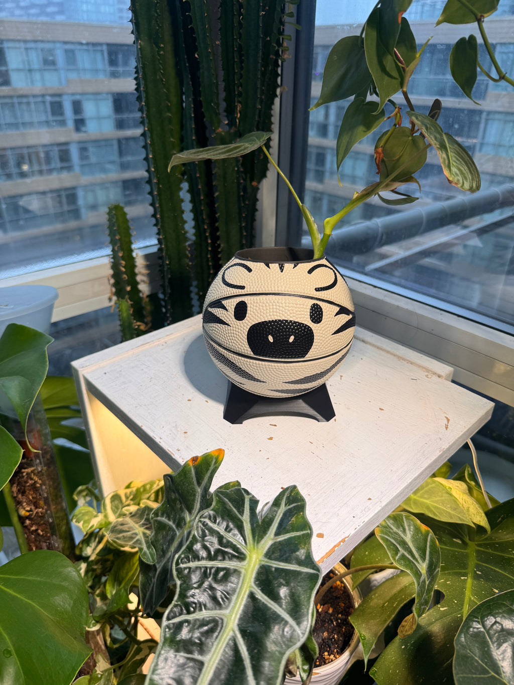 Ultra-Mini Basketball Planter (Zebra)