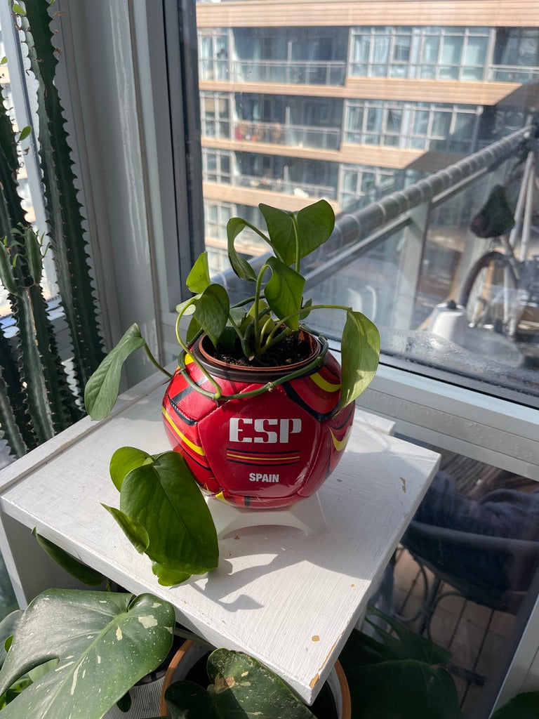 Mini Soccer Ball Planter (Spain)