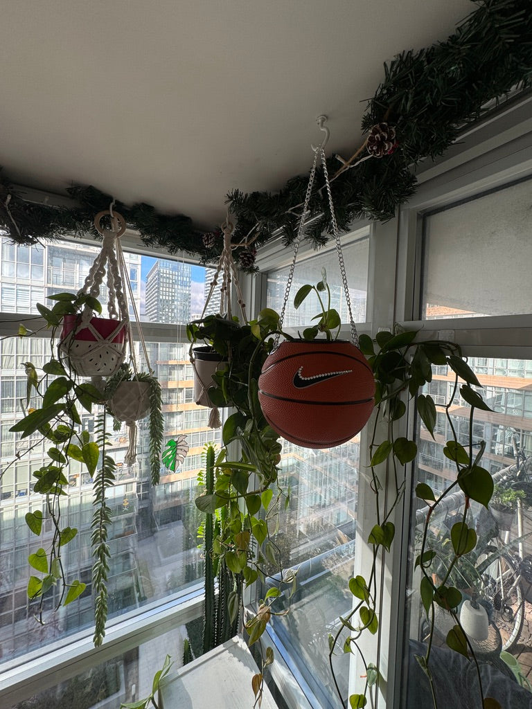 Nike Mini Basketball Hanging Planter (Silver Chain OG - Crystal)