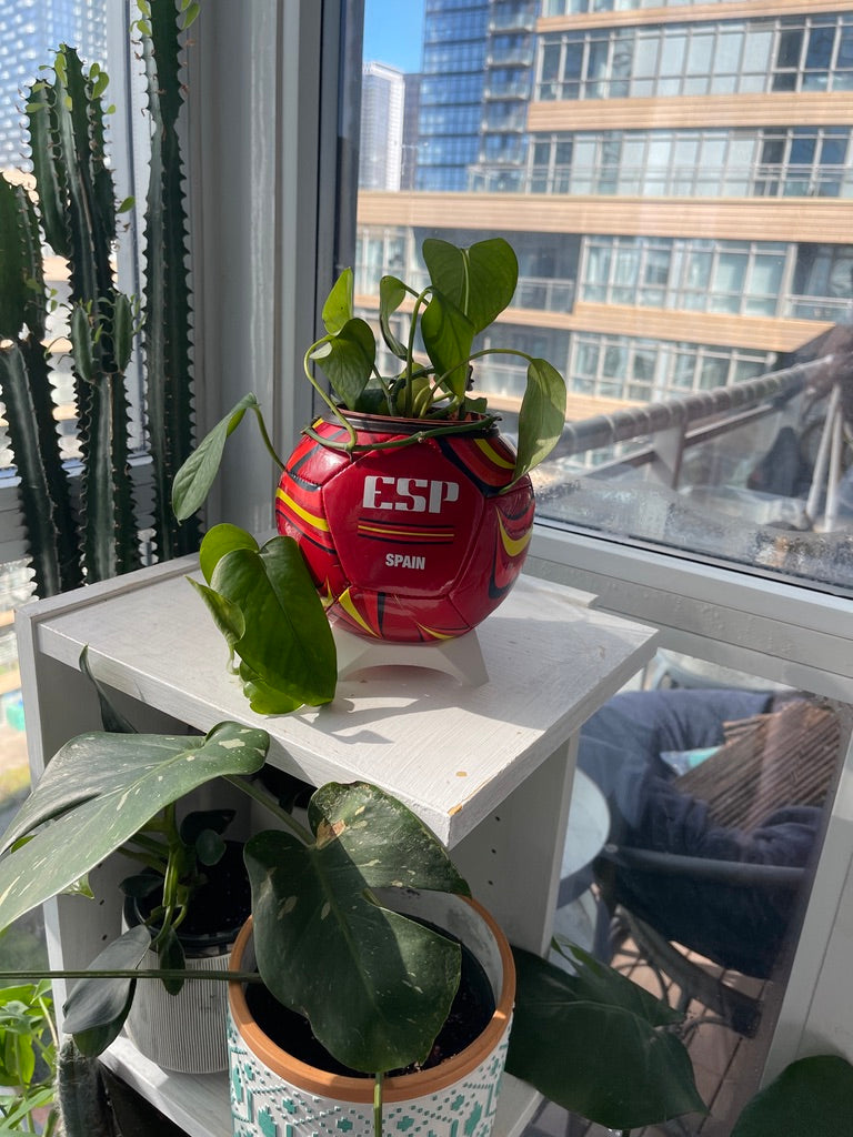 Mini Soccer Ball Planter (Spain)