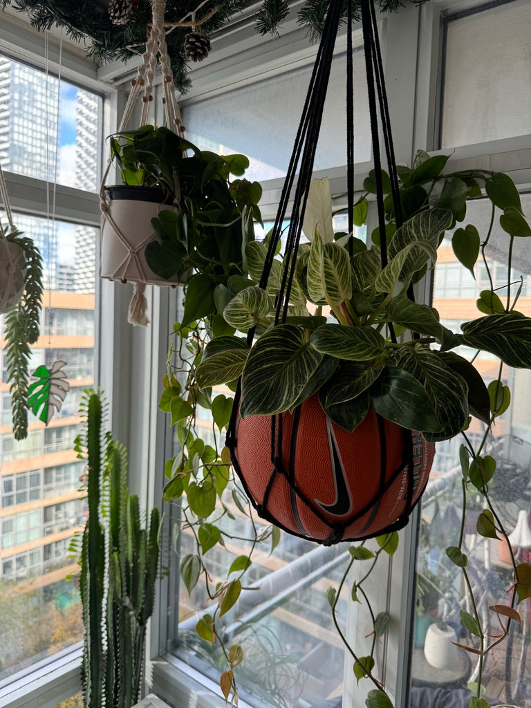 Nike Large Basketball Hanging Planter (Black Macrame - Original Reversed)