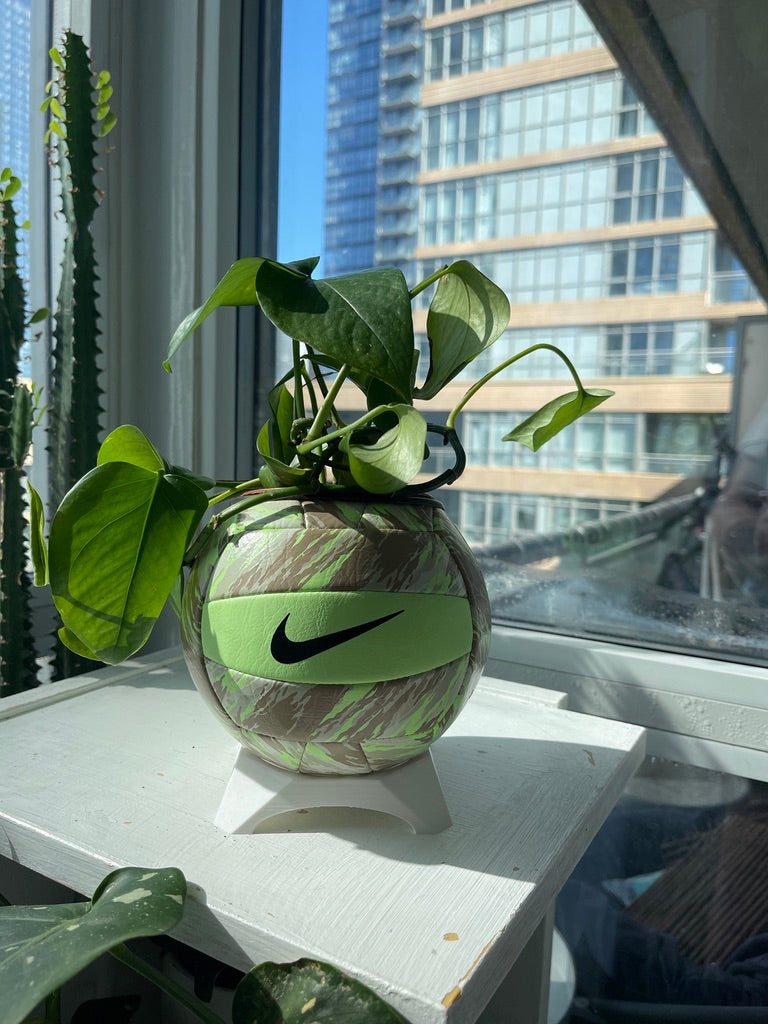 Nike Mini Volleyball Planter (Sand Storm)