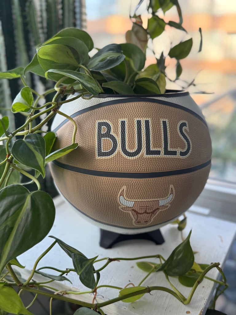 Large Basketball Planter (Chicago Bulls - Neutral)