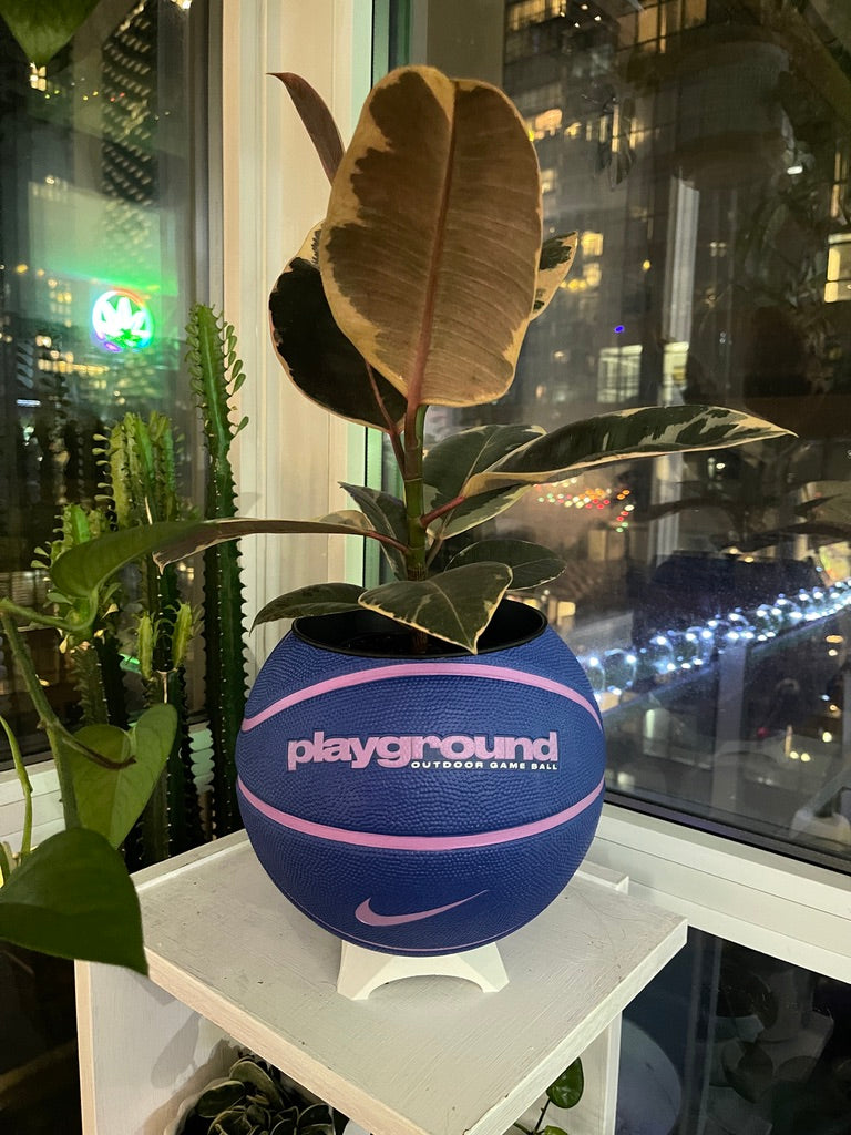 Nike Large Basketball Planter (Blueberry)