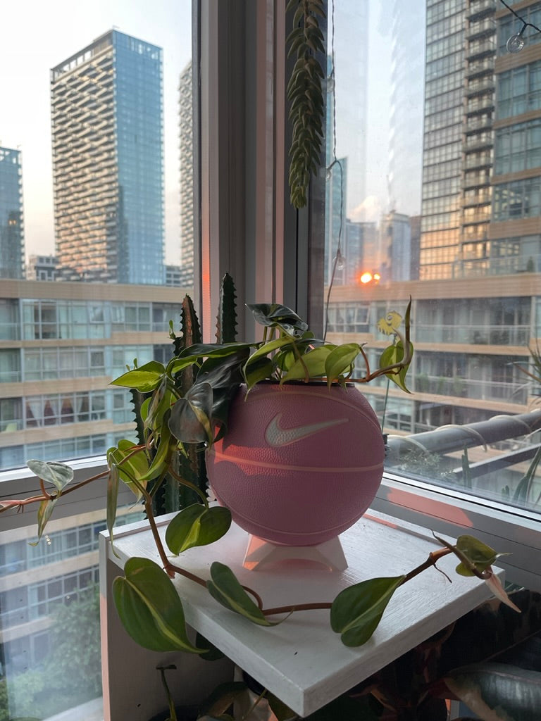 Nike Mini Basketball Planter (Strawberry Milk)