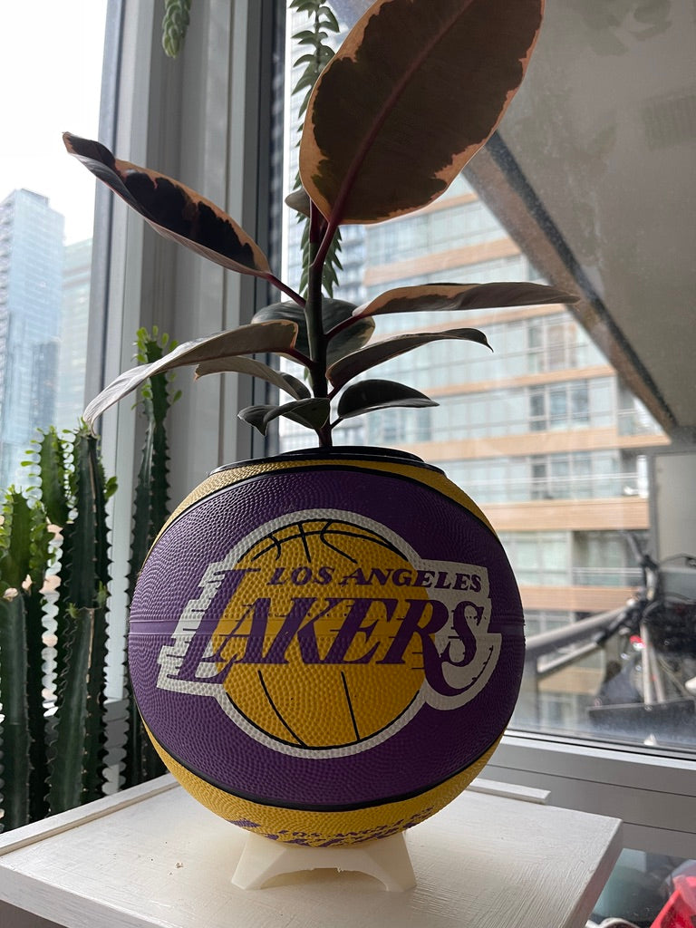 Large Basketball Planter (Los Angeles Lakers - OG)