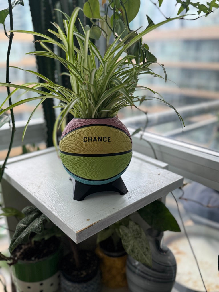 Ultra-Mini Basketball Planter (Sherbet Rainbow)