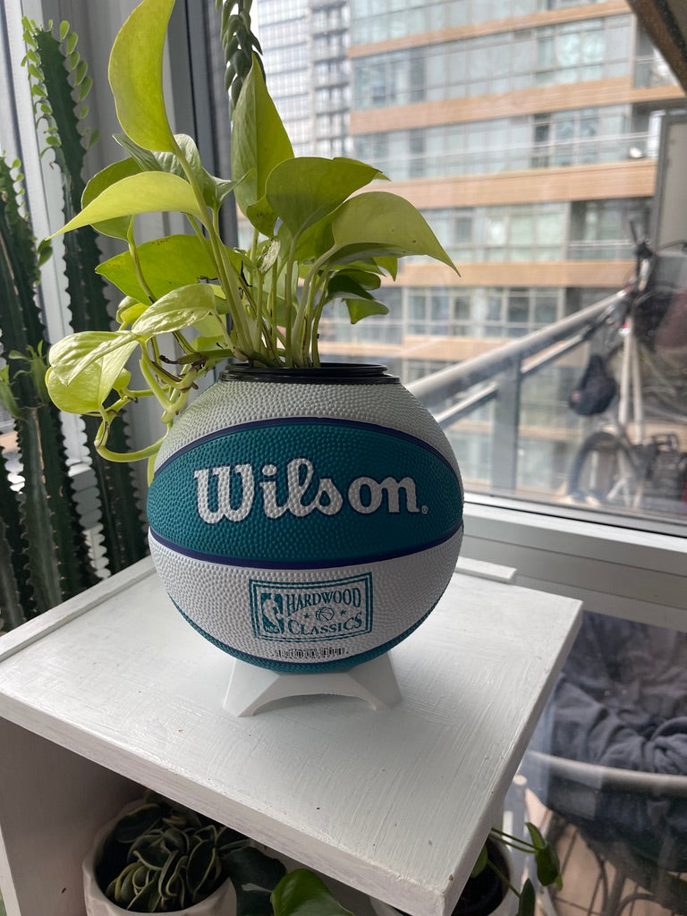 Mini Basketball Planter (Charlotte Hornets)