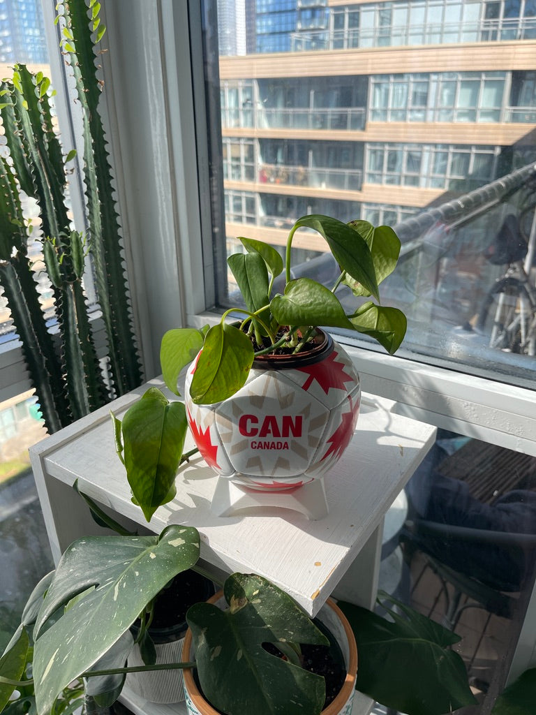Mini Soccer Ball Planter (Canada)