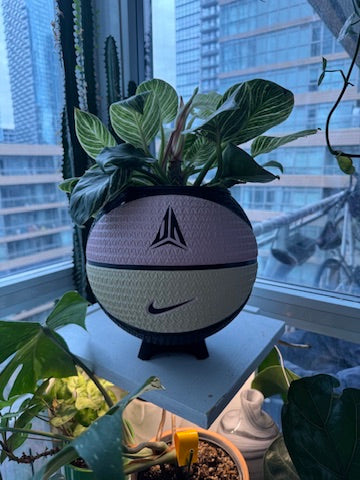 Nike Large Basketball Planter (Ja Morant Twelve Pink)