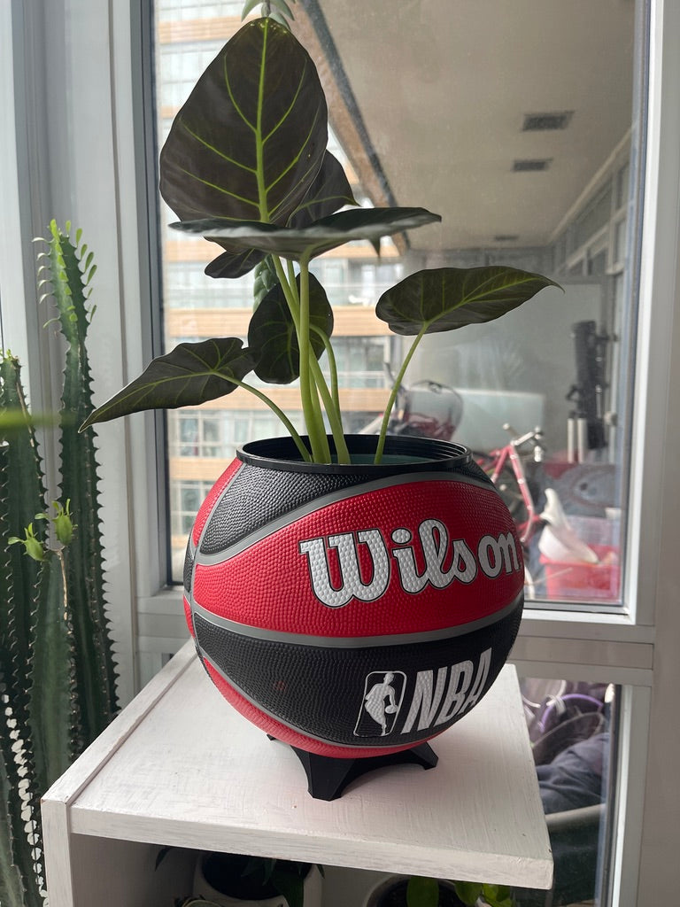 Large Basketball Planter (Toronto Raptors)