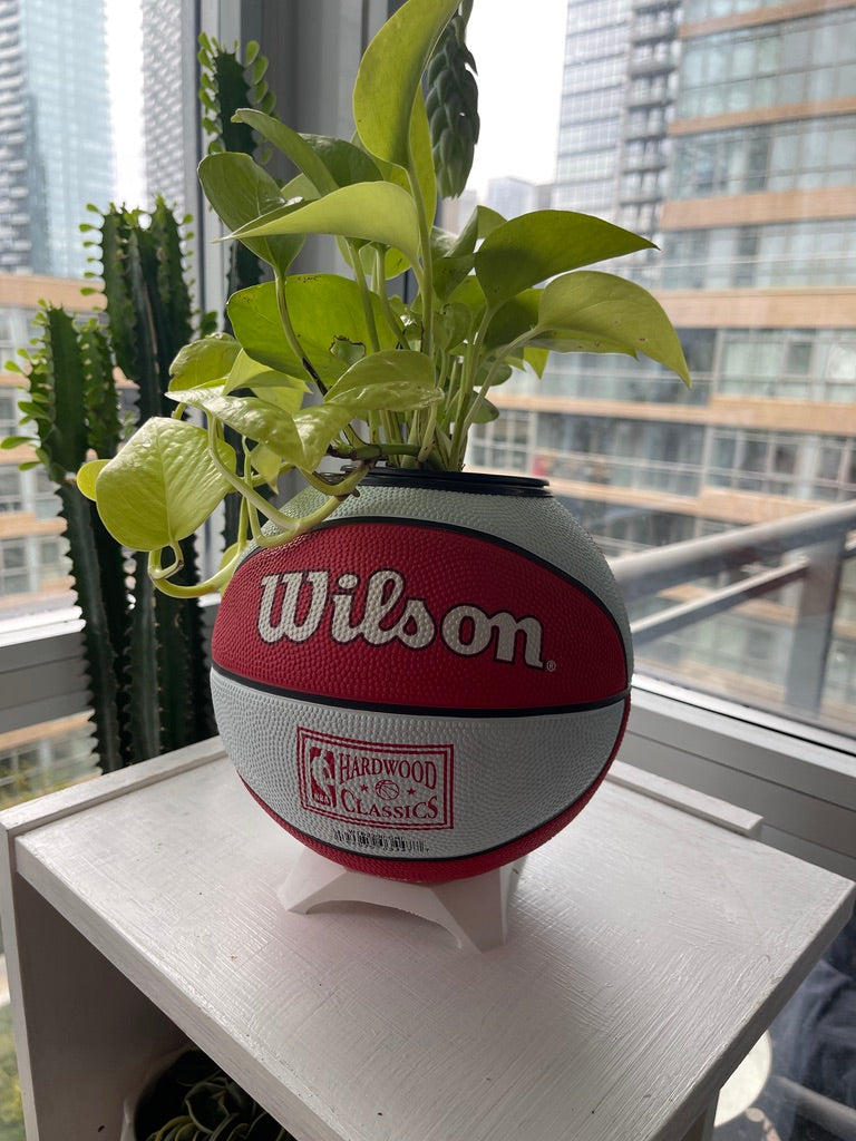 Mini Basketball Planter (Chicago Bulls)