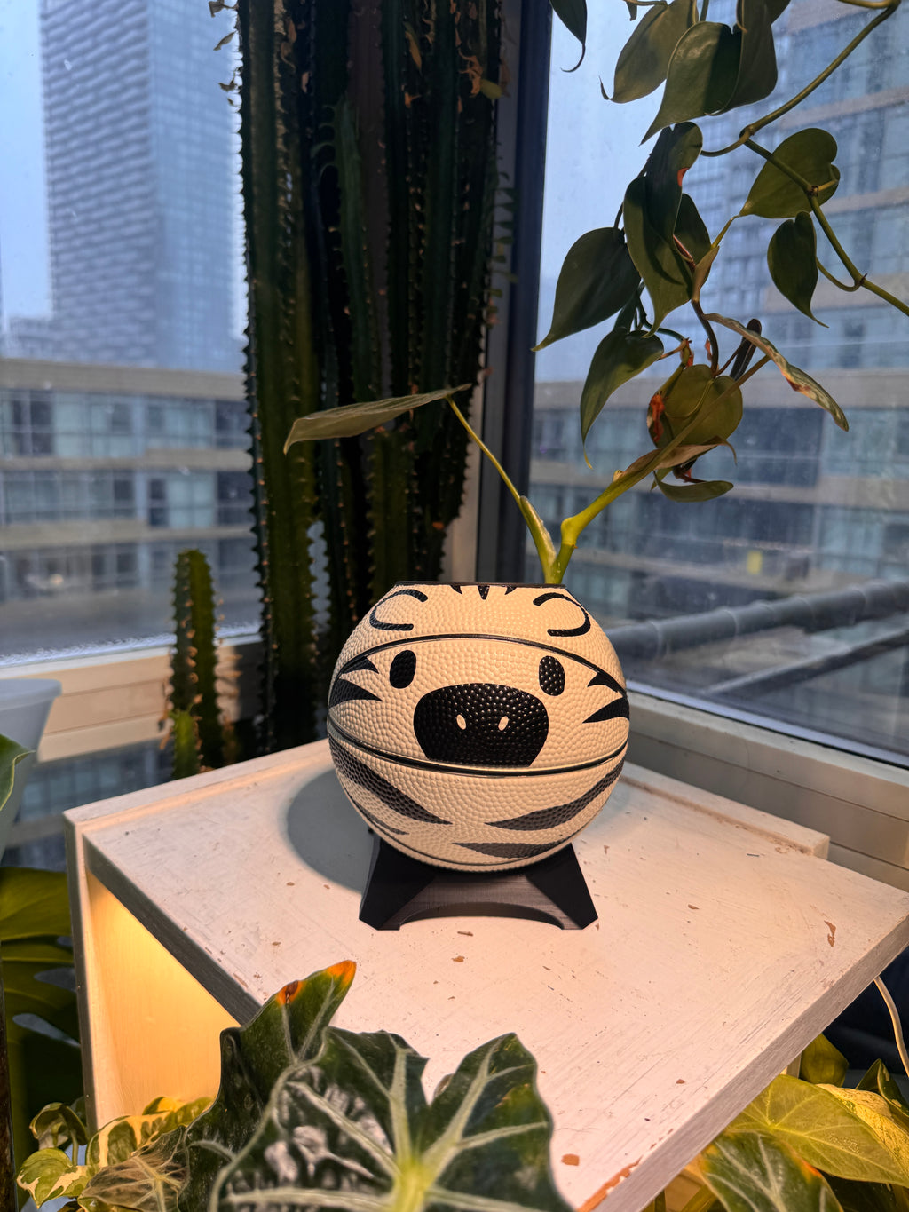 Ultra-Mini Basketball Planter (Zebra)
