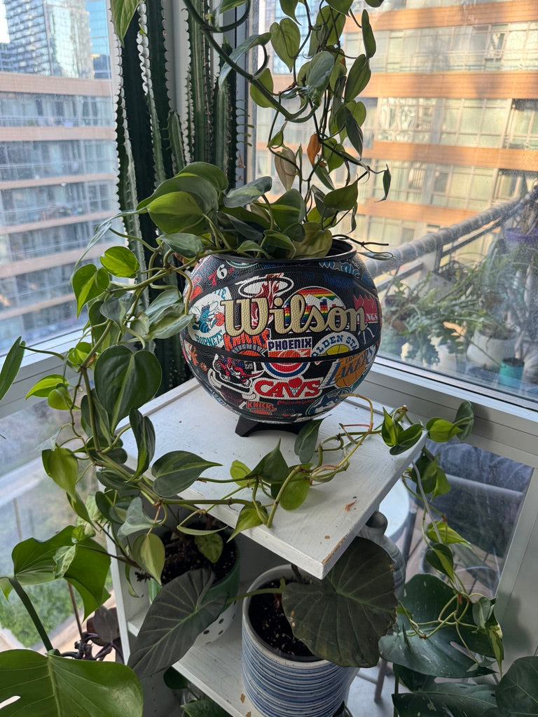Large Basketball Planter (NBA All Teams)