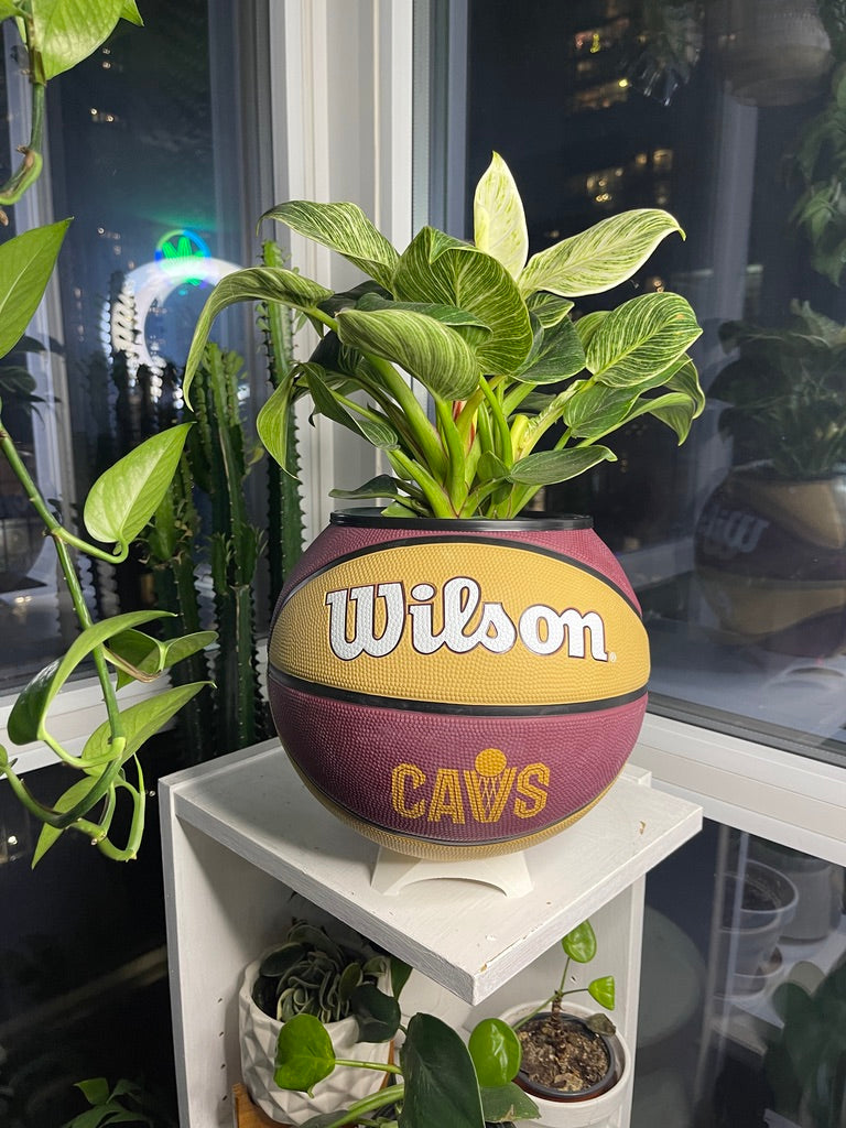 Large Basketball Planter (Cleveland Cavaliers)