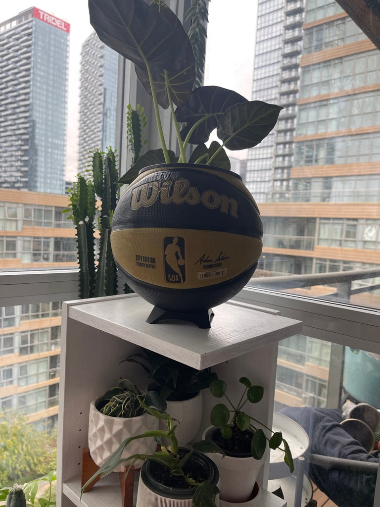 Large Basketball Planter (Toronto Raptors Gold)