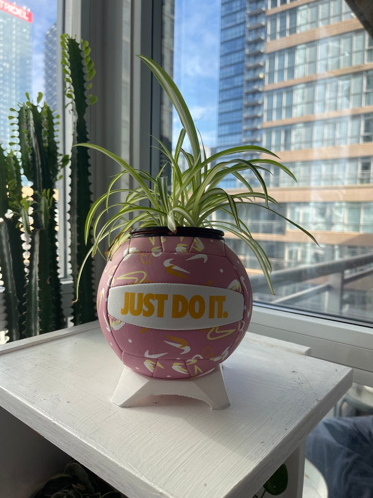 Nike Mini Volleyball Planter (Pink Swoosh)