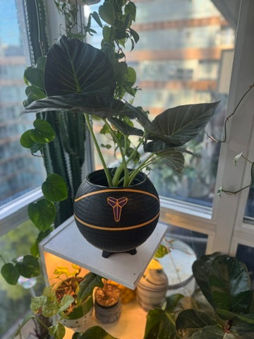 Nike Large Basketball Planter (Kobe Bryant Black)