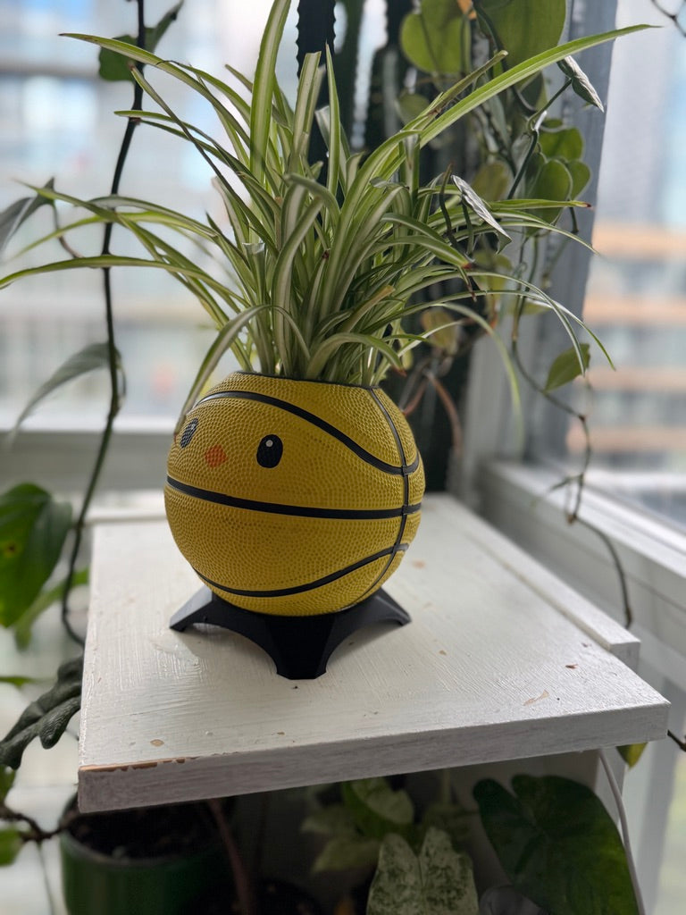 Ultra-Mini Basketball Planter (Chicken)