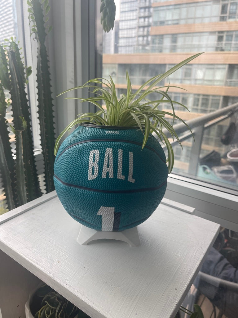 Mini Basketball Planter (Lamelo Ball)