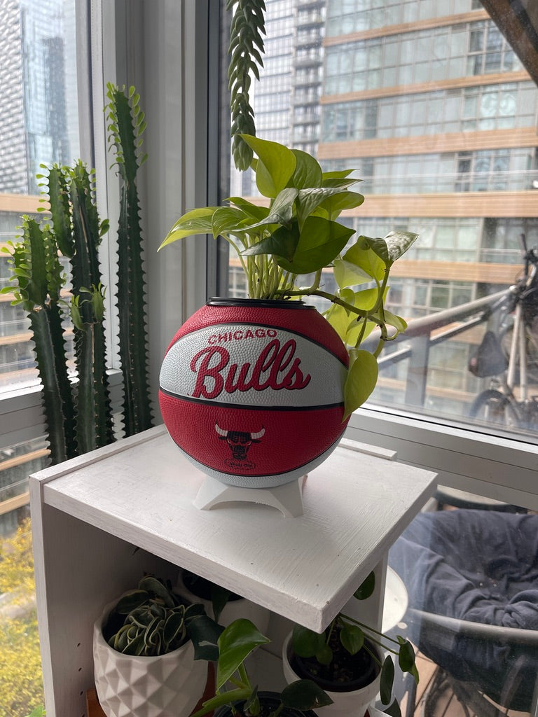Mini Basketball Planter (Chicago Bulls)