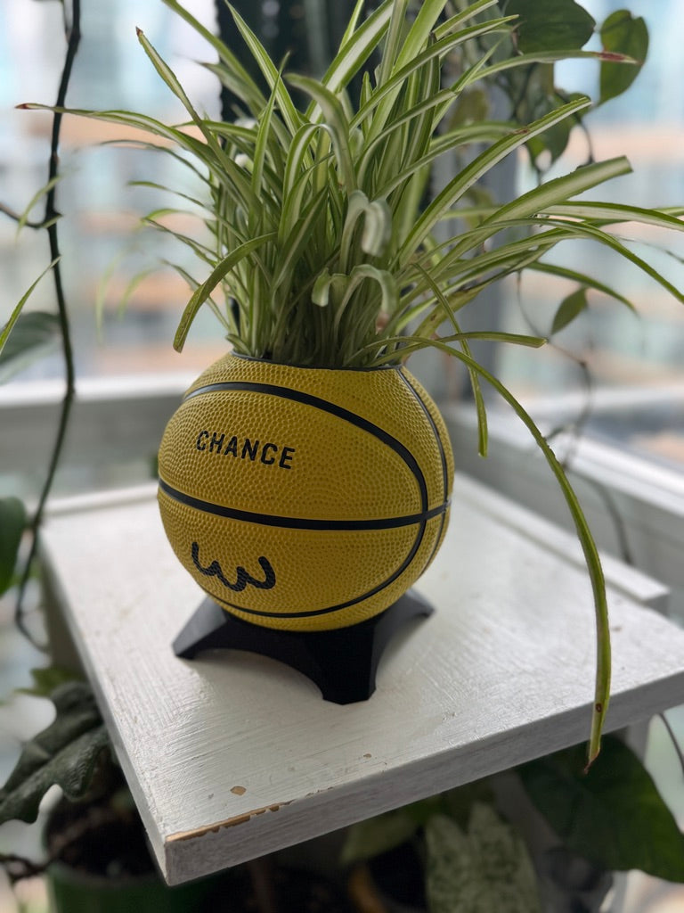 Ultra-Mini Basketball Planter (Chicken)