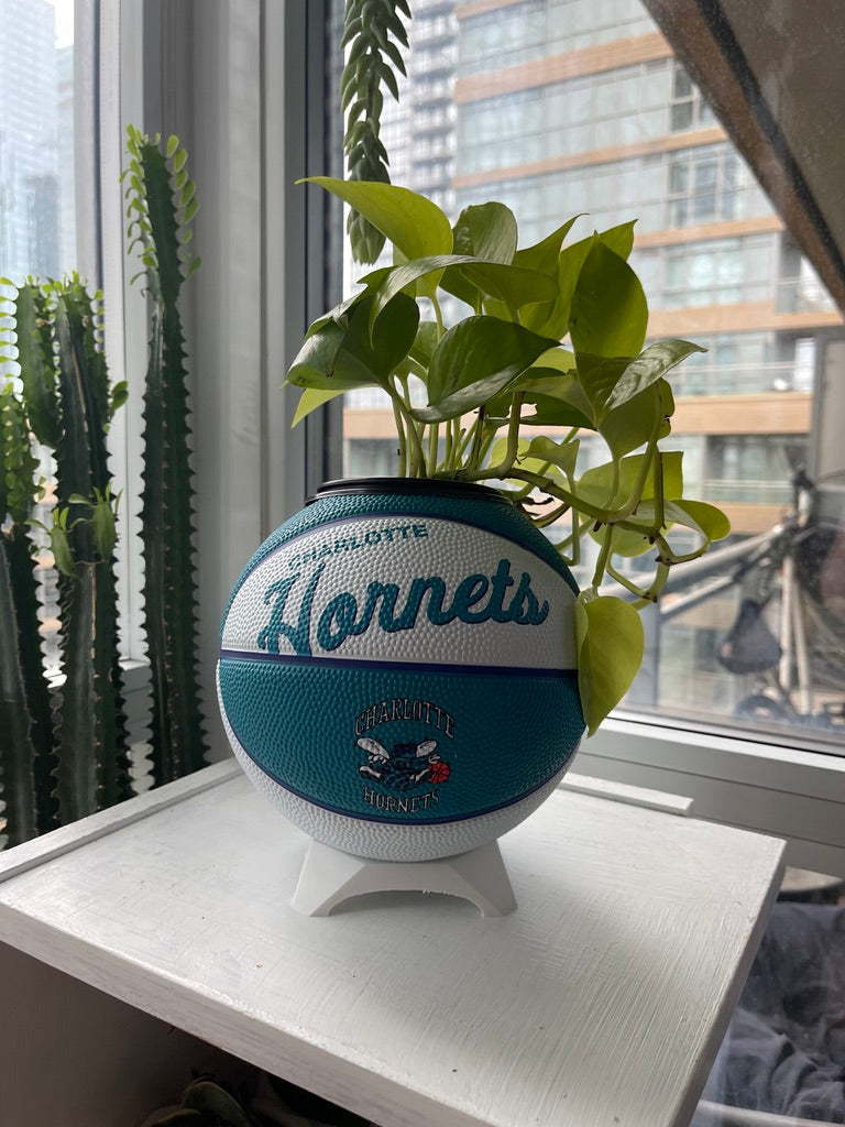 Mini Basketball Planter (Charlotte Hornets)