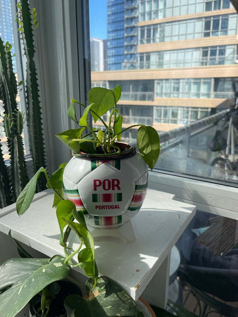 Mini Soccer Ball Planter (Portugal)
