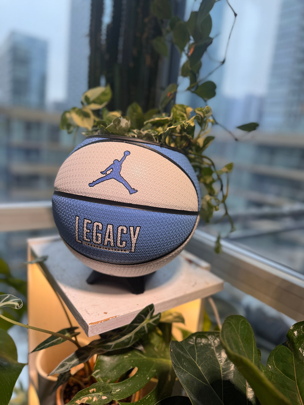 Nike Jordan Large Basketball Planter (UNC Blue & White)