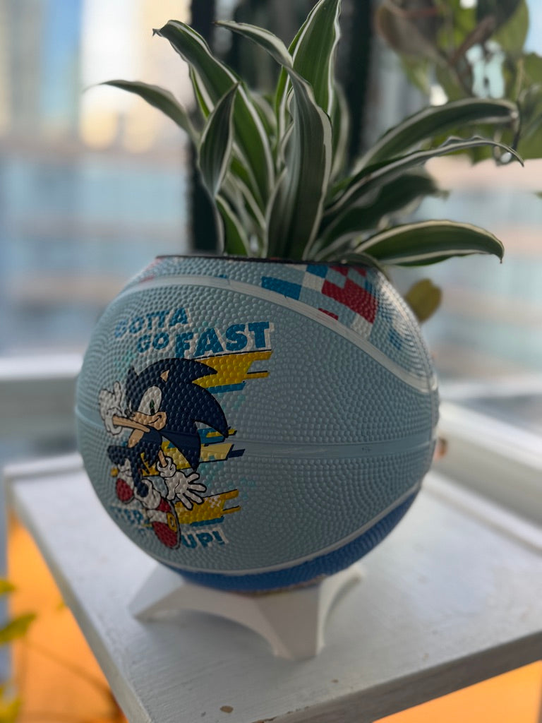 Mini Basketball Planter (Sonic the Hedgehog)
