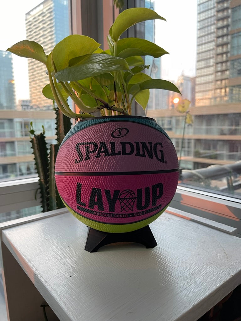 Mini Basketball Planter (Retro Lay Up)