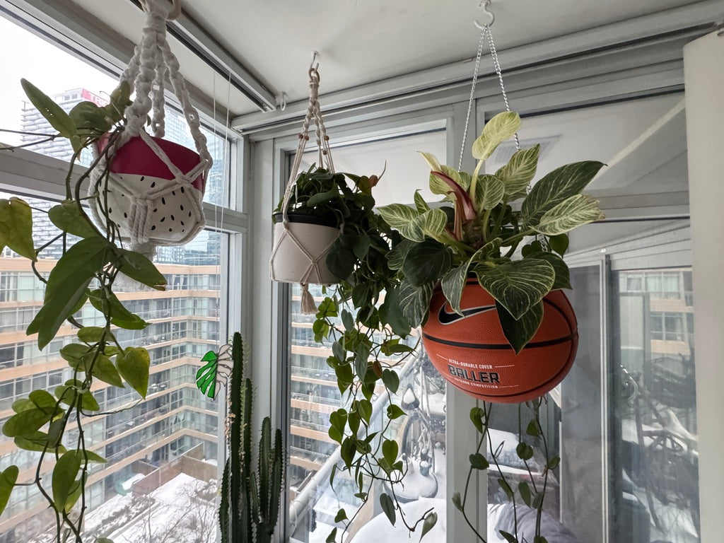 Nike Large Basketball Hanging Planter (Baller - Silver Chain)