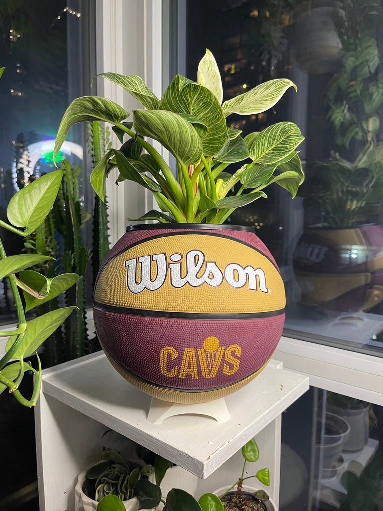 Large Basketball Planter (Cleveland Cavaliers)