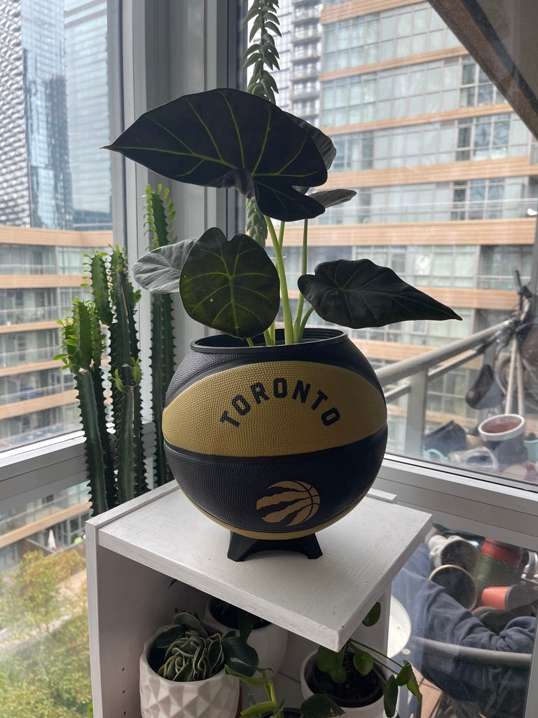 Large Basketball Planter (Toronto Raptors Gold)
