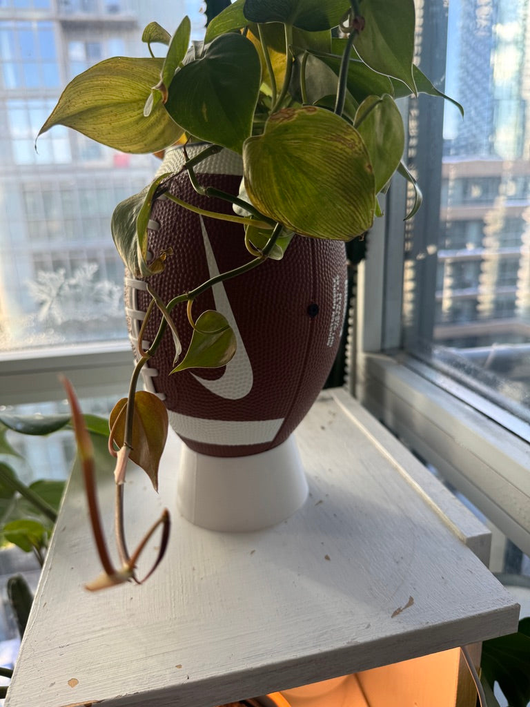 Nike Large Football Planter (Brown & White)