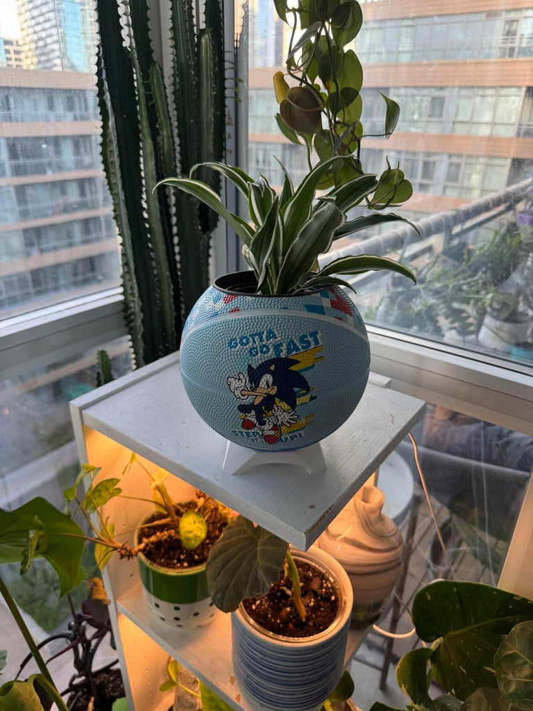 Mini Basketball Planter (Sonic the Hedgehog)