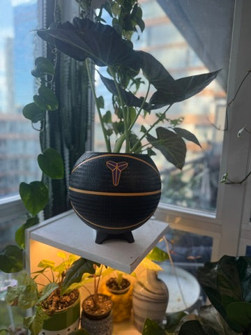 Nike Large Basketball Planter (Kobe Bryant Black)