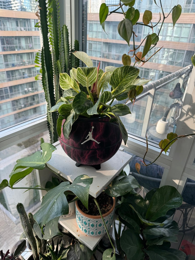 Nike Jordan Large Basketball Planter (Purple Lightning)