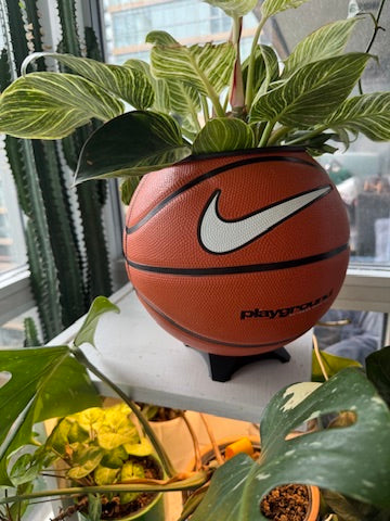 Nike Large Basketball Planter (OG White Playground)