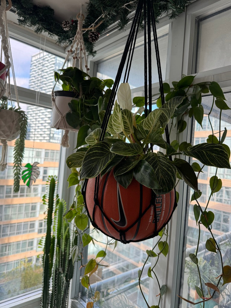 Nike Large Basketball Hanging Planter (Black Macrame - Original Reversed)