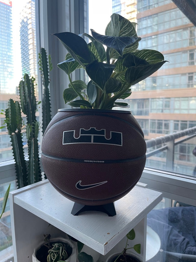 Nike Large Basketball Planter (LeBron Brown)
