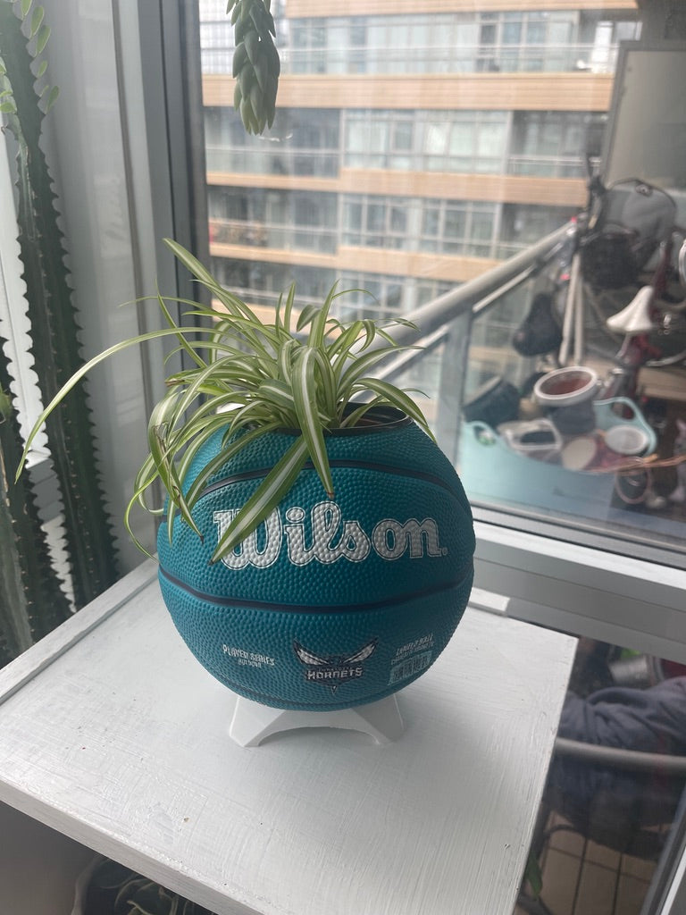 Mini Basketball Planter (Lamelo Ball)