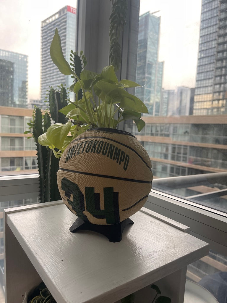 Mini Basketball Planter (Giannis Antetokounmpo)