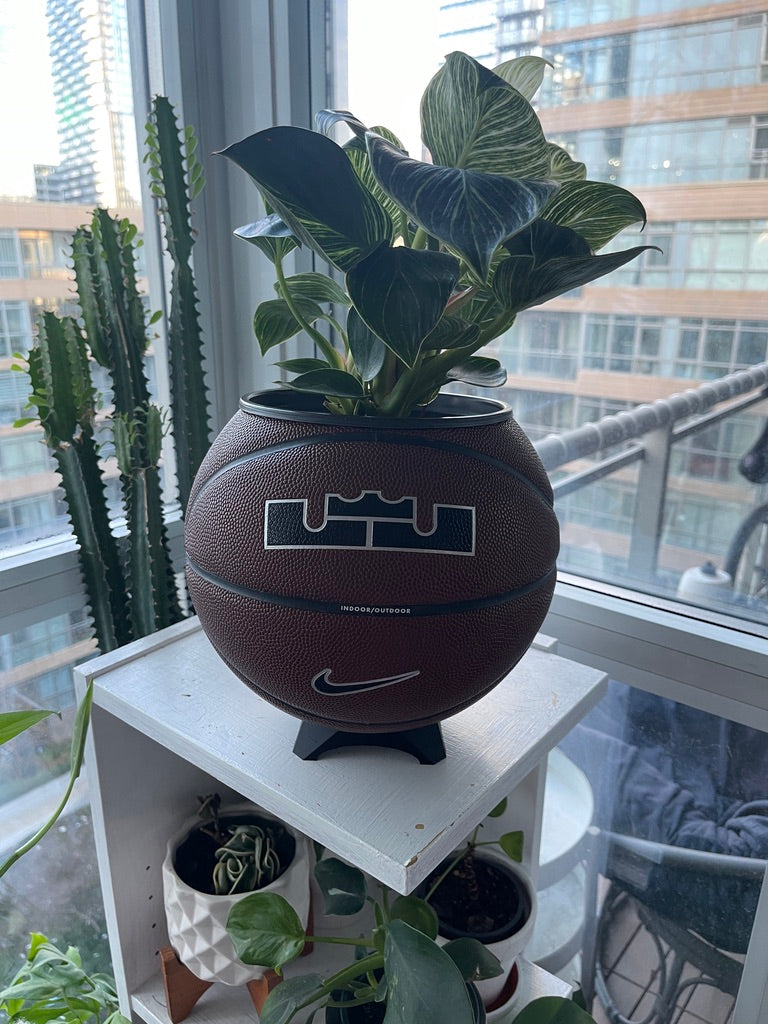 Nike Large Basketball Planter (LeBron Brown)