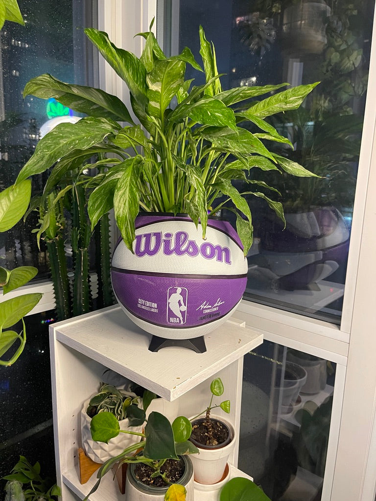 Large Basketball Planter (Los Angeles Lakers Mono)