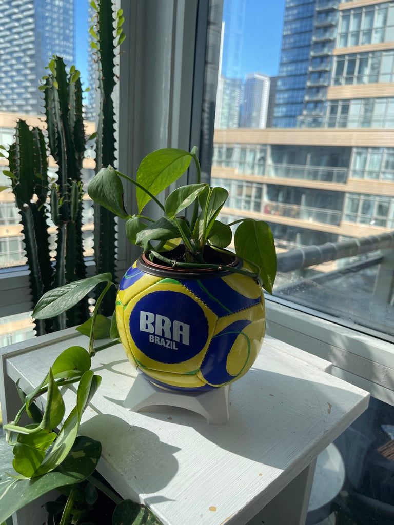 Mini Soccer Ball Planter (Brazil)