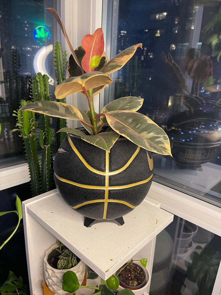 Nike Large Basketball Planter (Black & Gold All-Court)