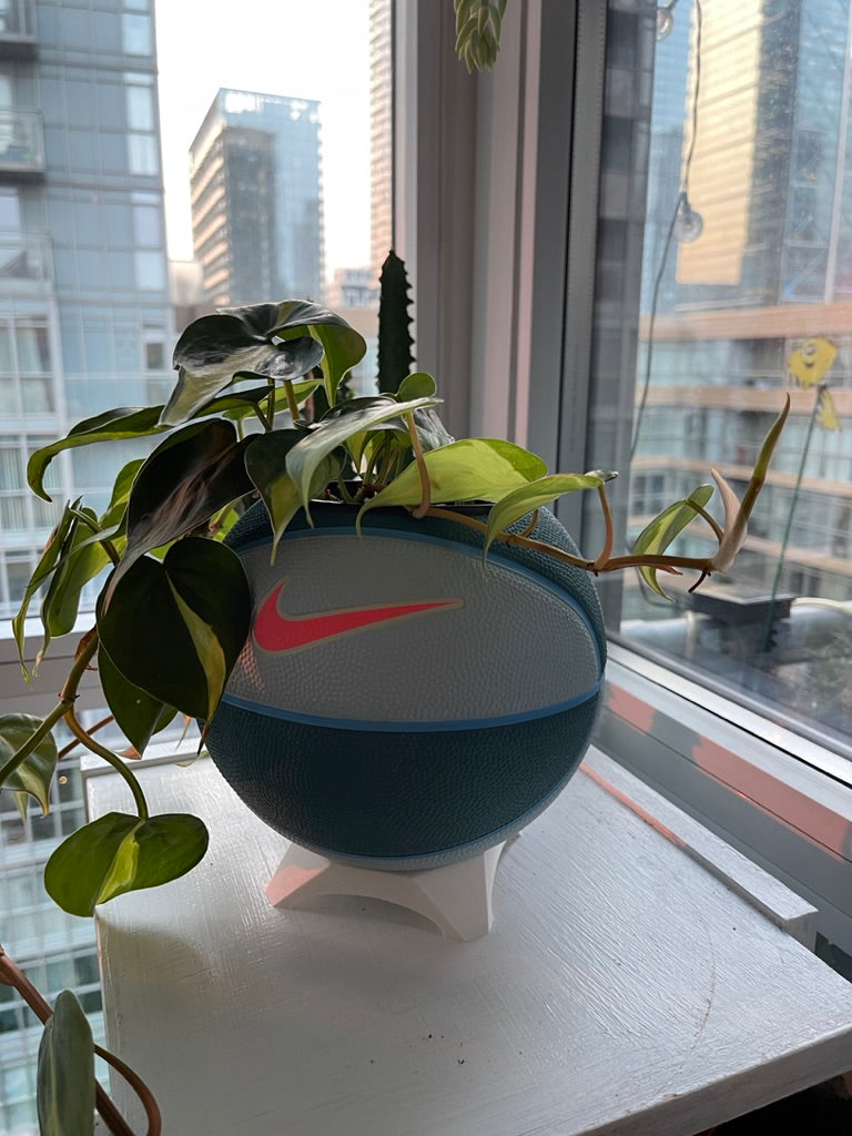 Nike Mini Basketball Planter (Hot Punch)