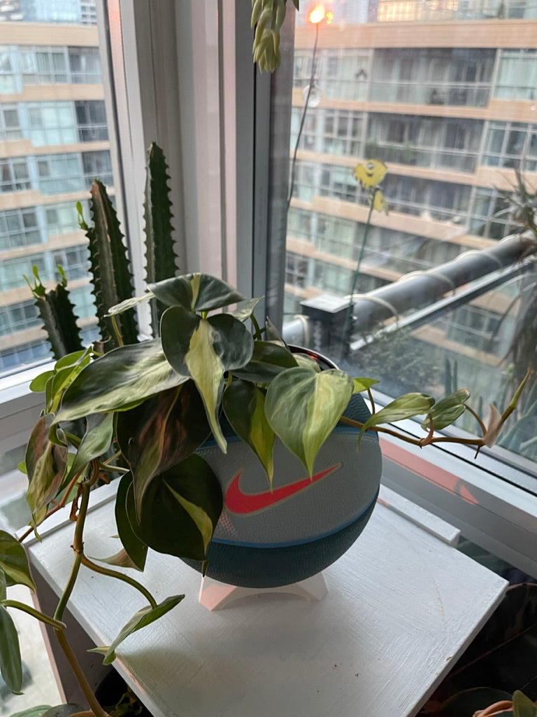 Nike Mini Basketball Planter (Hot Punch)