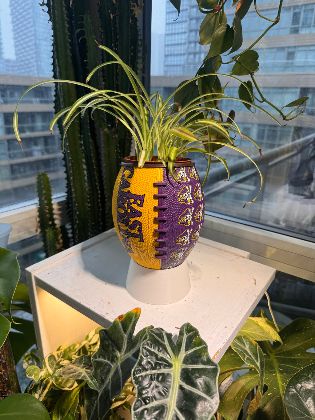 Mini Football Planter (East Carolina University Pirates)